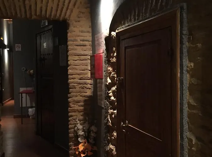 Guest house Natura Plaza 3*